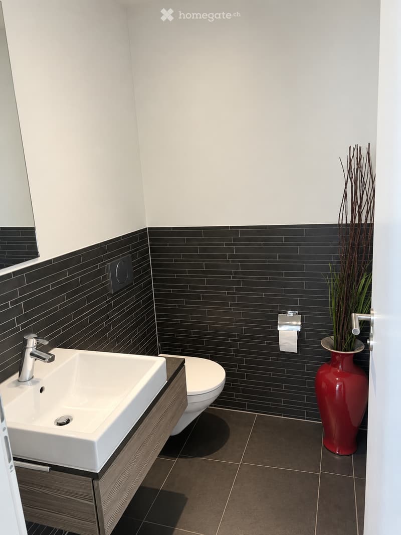 Modern bathroom with white walls, black tiled lower half, dark tiled floor, white sink with chrome faucet, toilet, and a red vase with dried plants.