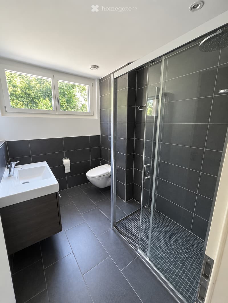 Modern bathroom with dark tiles, a glass-enclosed shower, a white sink, and a toilet. The room features a large window with a view of greenery.