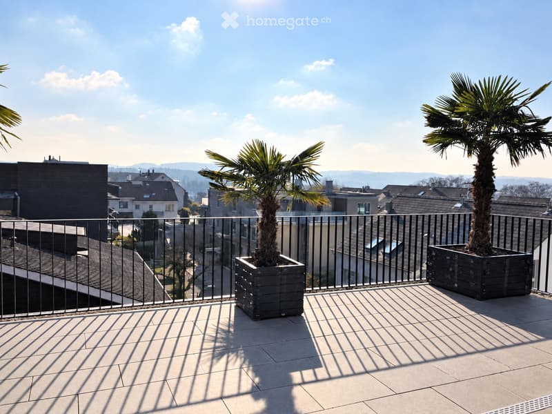 Balcony with tiled floor, metal railing, and two potted palm trees, overlooking a residential area with houses and mountains in the background.