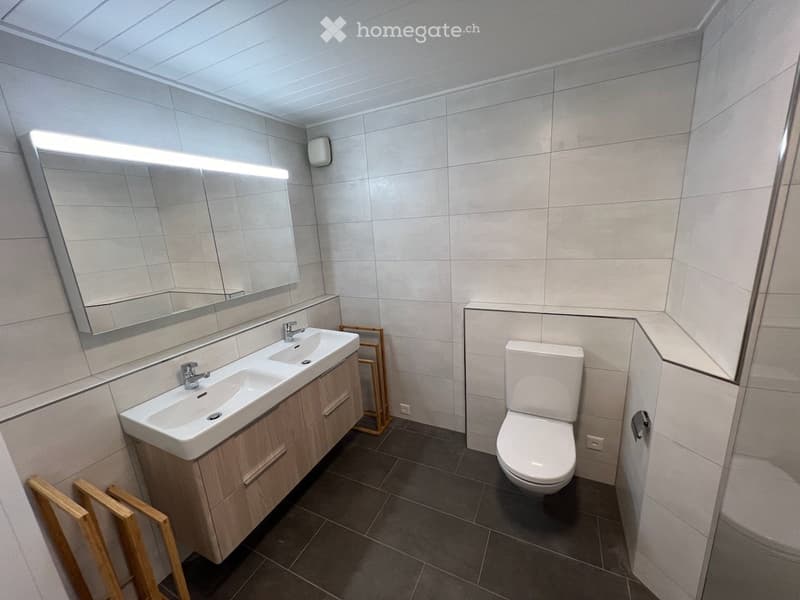 Modern bathroom with double sink, toilet, large mirror, and wooden cabinet.
