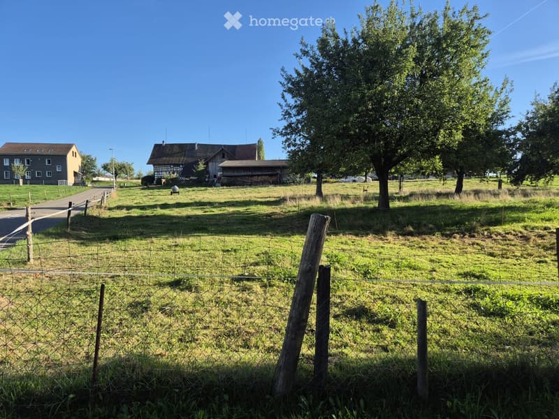 Rural landscape with a fenced field, several houses in the background, and trees scattered across the area.