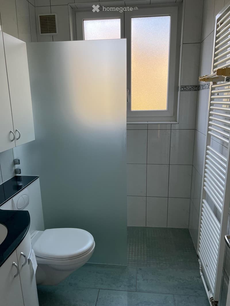 Modern bathroom with white tiles, a toilet, sink, and radiator. Features a frosted glass shower enclosure and a window for natural light.