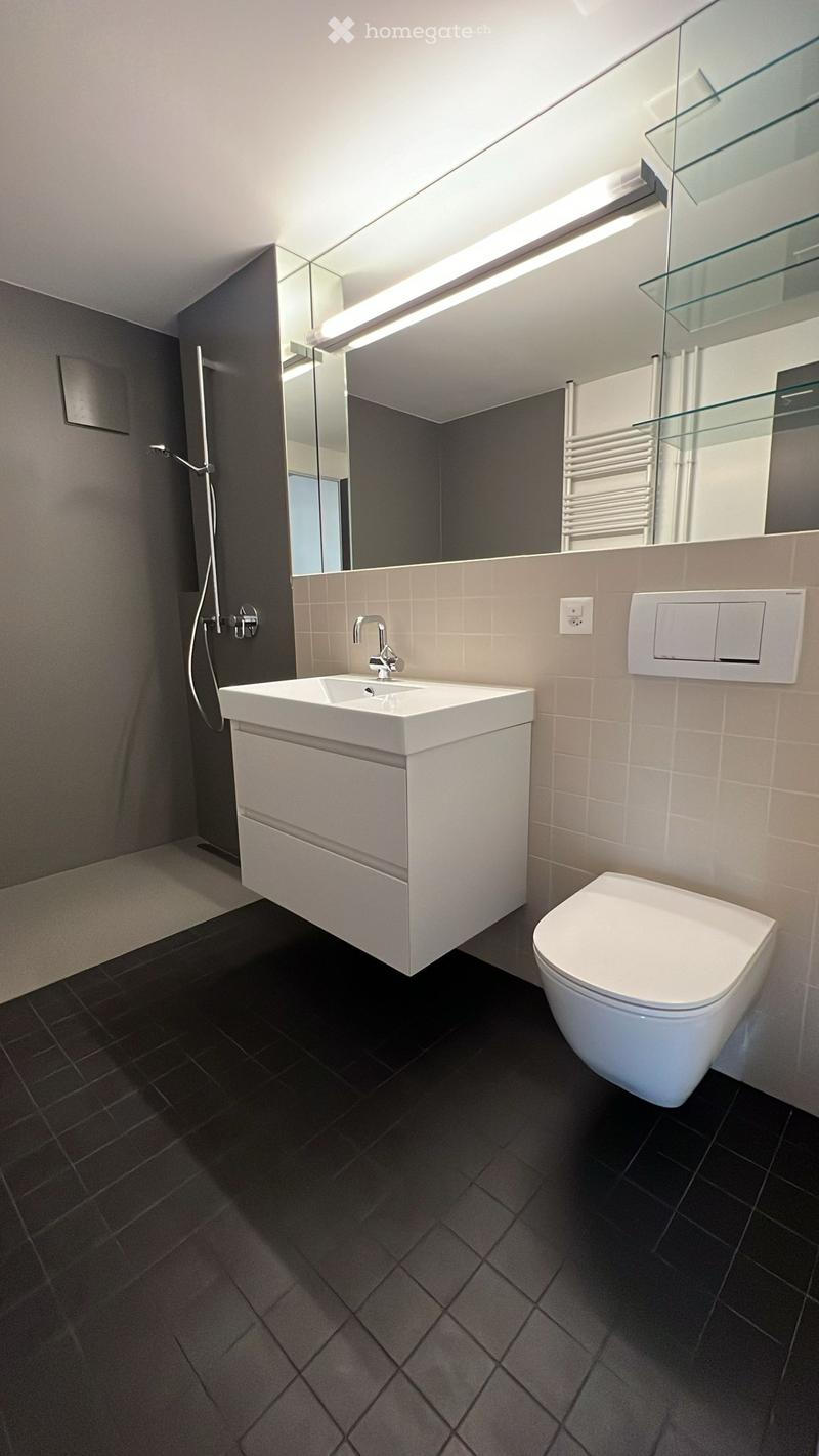 Modern bathroom with grey tiles, white toilet, white sink, shower, mirror, power outlet, switch, and towel rack