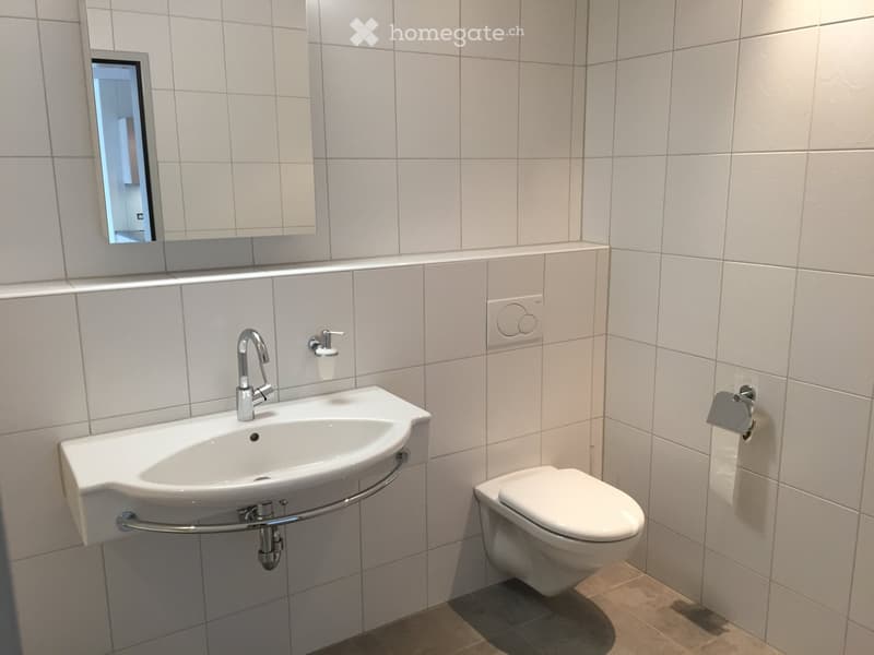 Modern bathroom with white tiled walls, a white sink with a chrome faucet, a toilet, a mirror, and a toilet paper holder.