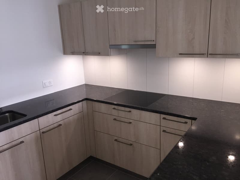 Modern kitchen with light wood cabinets, black countertops, and stainless steel handles. Features an induction stove, sink, and ample storage space.