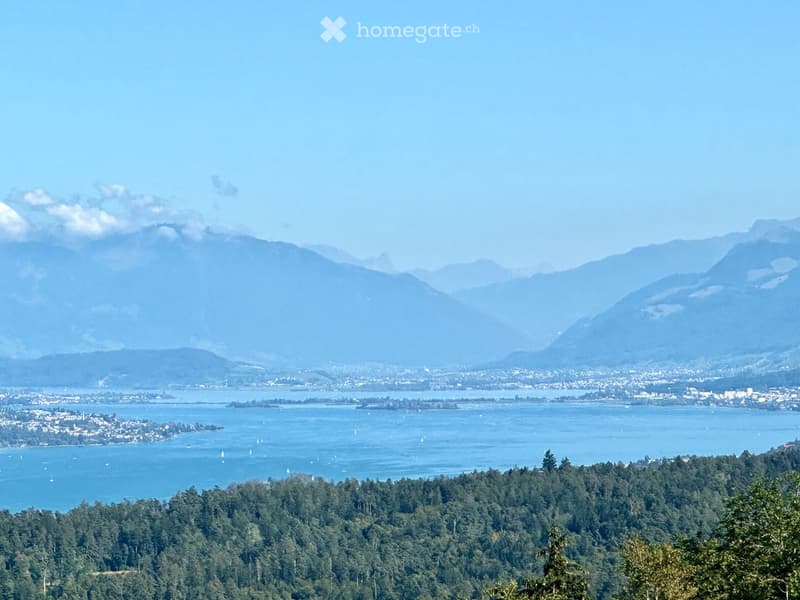 A panoramic view of a lake surrounded by mountains and a forested area, with scattered buildings visible along the shoreline.