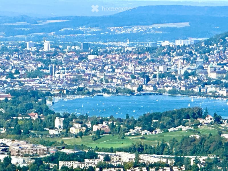 A panoramic view of a cityscape with a lake, surrounded by buildings, trees, and distant mountains.