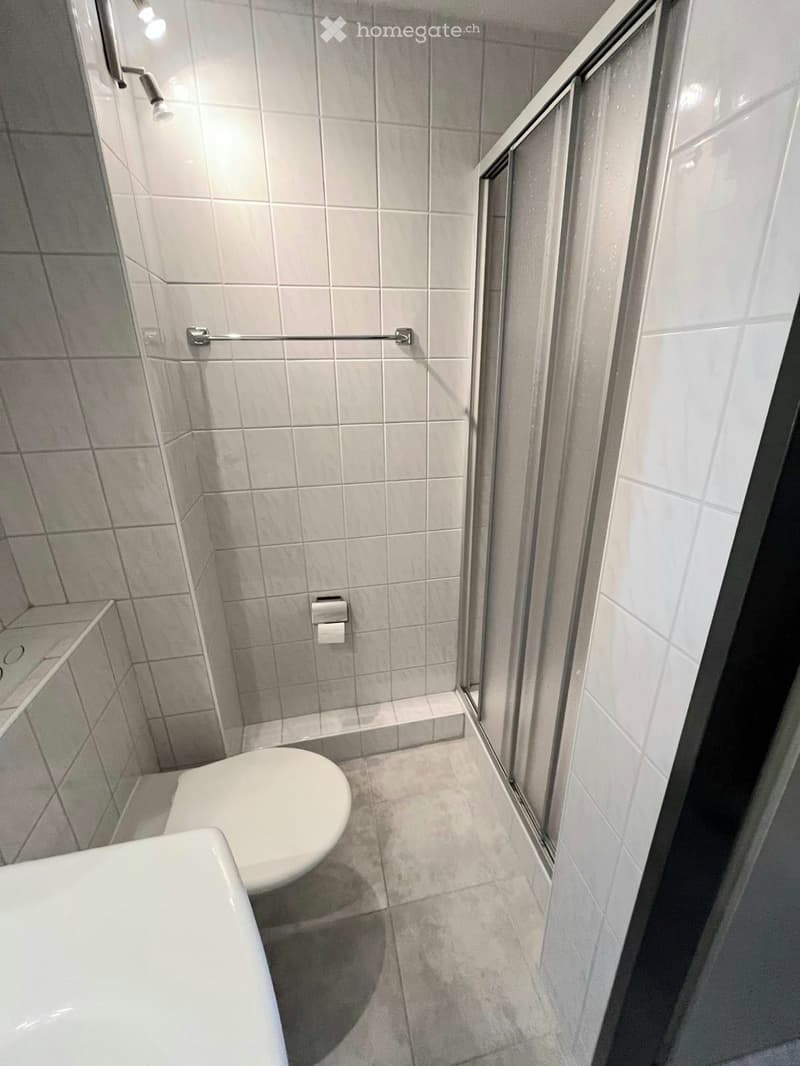 Modern bathroom with white tiles, a toilet, a sink, a glass-enclosed shower, and a handrail for safety.