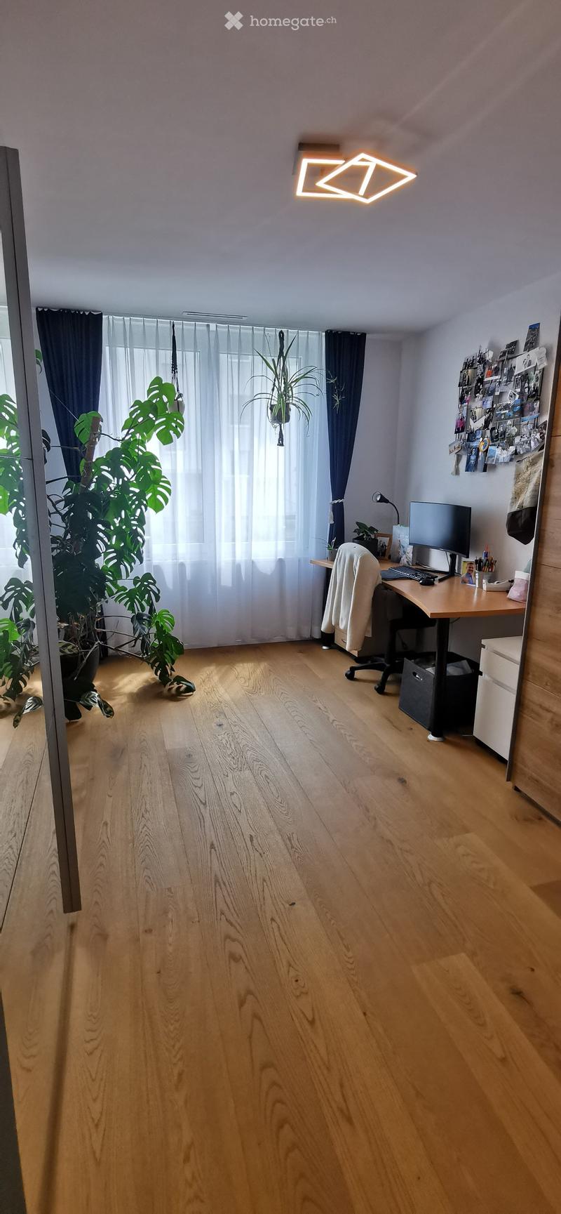 Spacious room with wooden flooring, large window with sheer curtains, desk with computer setup, chair, and potted plants.