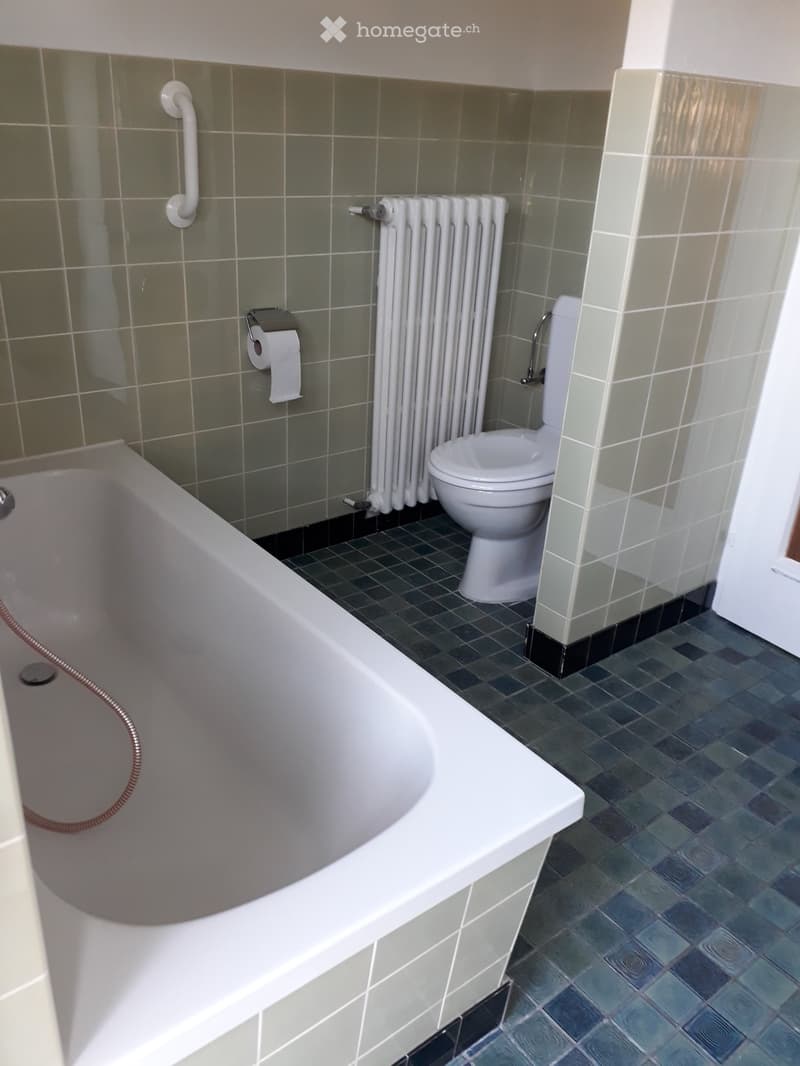 Bathroom with a white bathtub, toilet, radiator, and toilet paper holder. The walls are tiled in grey and the floor has dark tiles.