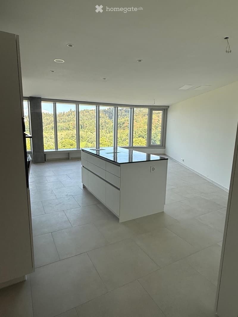 Modern kitchen with white cabinets, a central island, and large windows offering a scenic view of greenery.