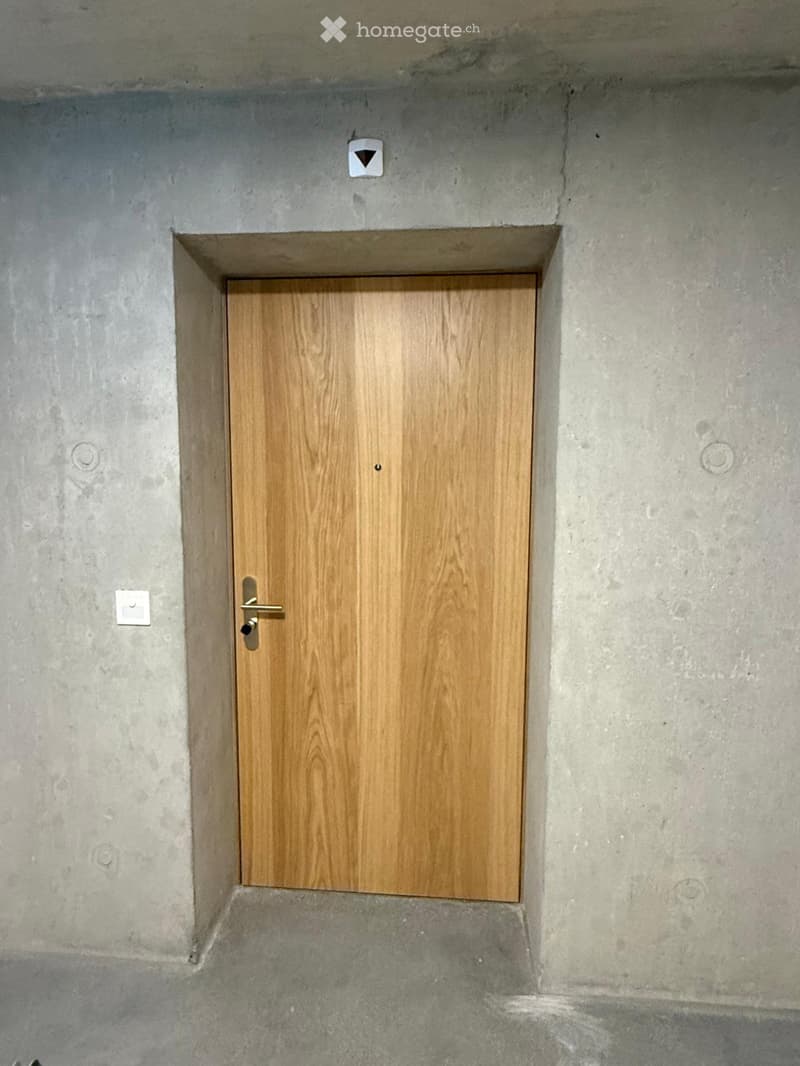 A wooden door set in a concrete wall, with a small triangular sign above it and a light switch to the left.