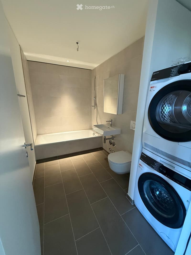 Modern bathroom with a bathtub, sink, toilet, mirror, and a private washing machine.