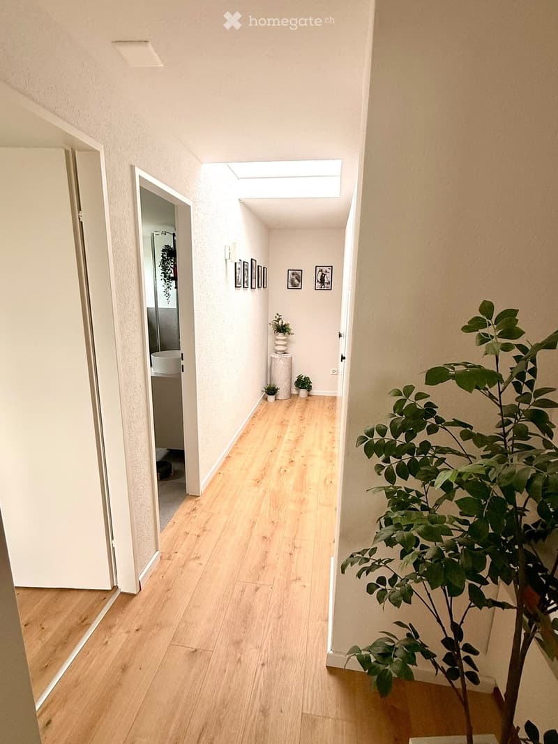 Bright hallway with wooden flooring, white walls, and a skylight at the top. Features framed pictures on the walls, small potted plants, and a large leafy plant on the right side.