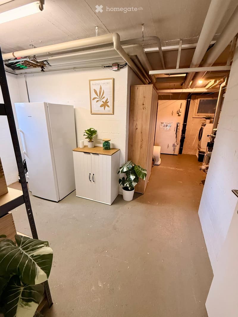 A hallway with exposed pipes and a small storage area, featuring a refrigerator, cabinet, and potted plants.