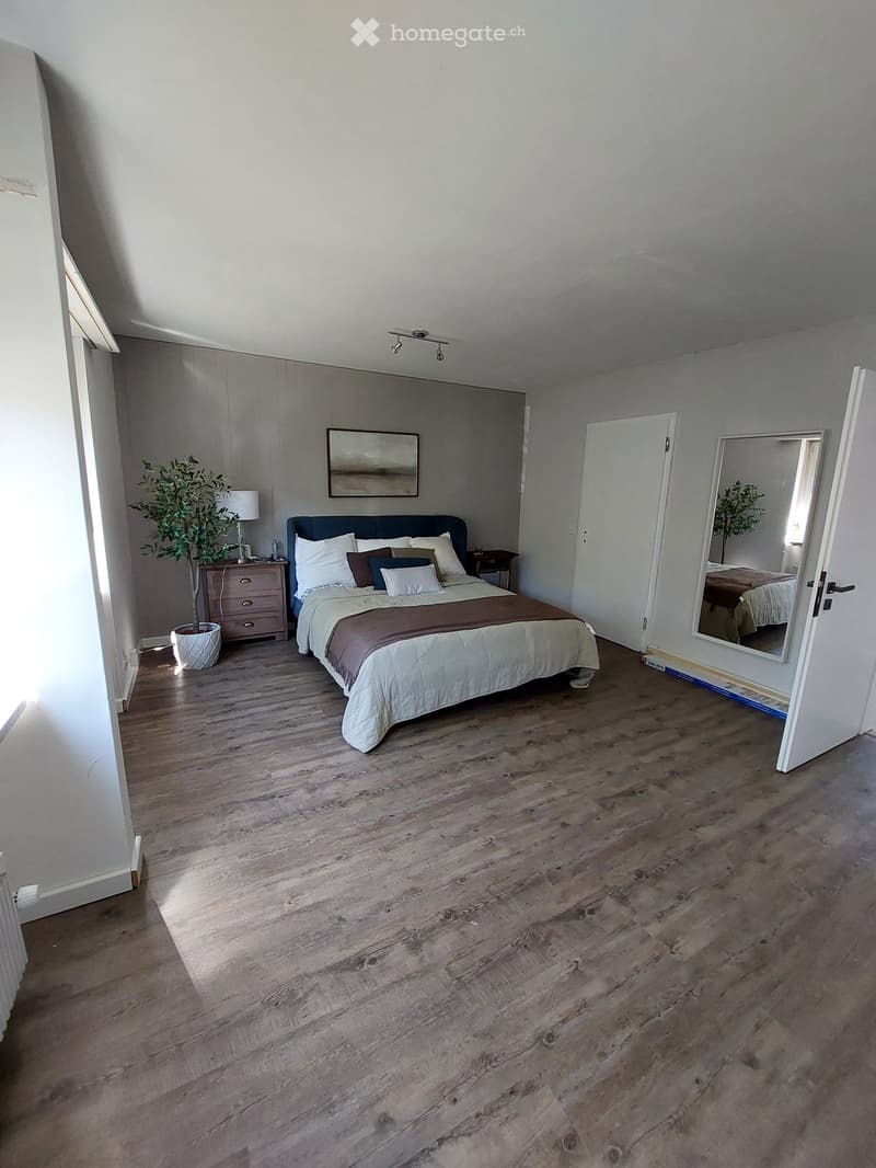 Modern bedroom with wooden flooring, a large bed with white and brown bedding, a nightstand with a lamp, a potted plant, and a mirror on the wall.