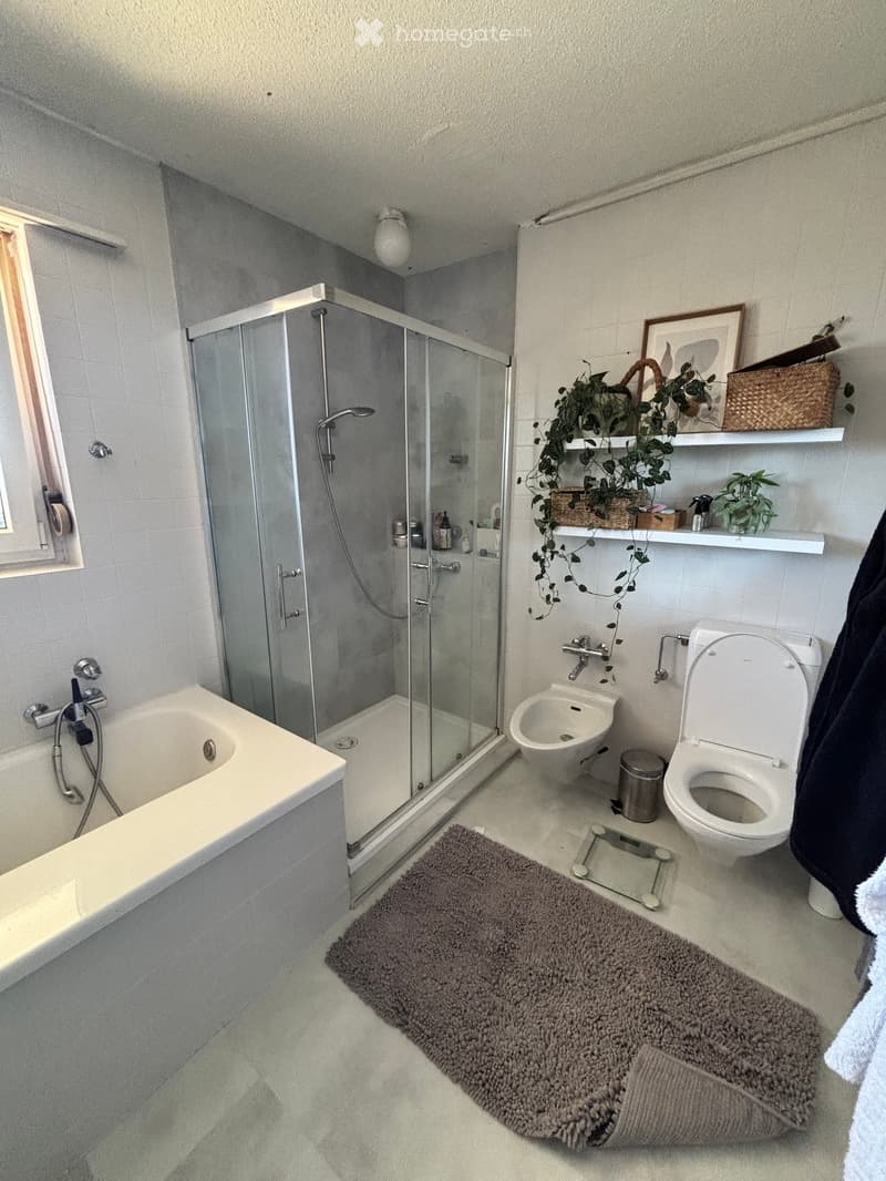 Modern bathroom with a bathtub, glass-enclosed shower, toilet, bidet, and a small plant on a shelf. Includes a bathroom rug, a scale, and a light fixture.