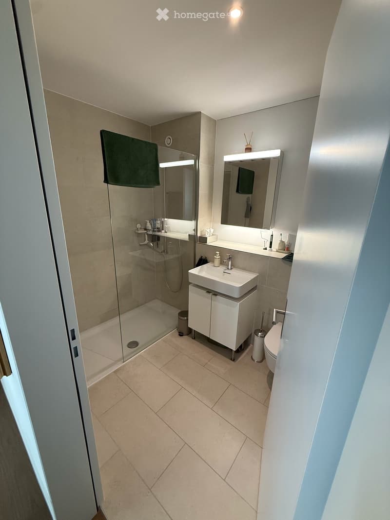 Moderne 3.5-Zimmer-Wohnung Neubau in Regensdorf (3)