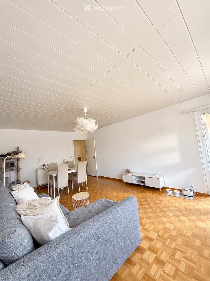 Open-plan living and dining area with a grey sofa, wooden dining table, white chairs, a cat tree, and a modern lamp.