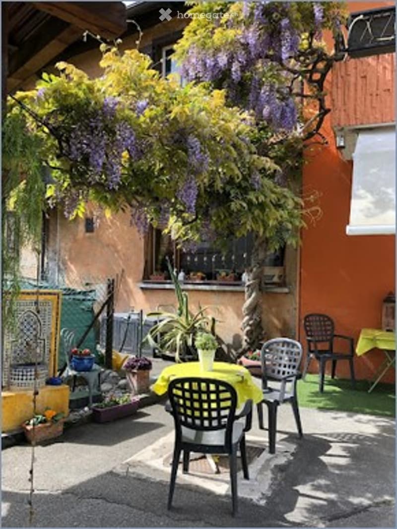 A sunny outdoor patio area with a table, chairs, and potted plants, shaded by a blooming wisteria vine.