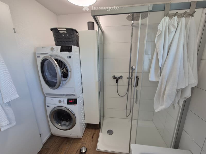Modern bathroom with a glass-enclosed shower, a washing machine, and a towel rack with towels.
