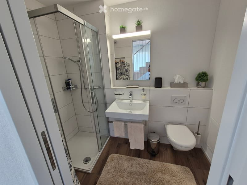 Modern bathroom with a glass-enclosed shower, white sink, toilet, and a small plant on the windowsill. The room features wooden flooring and a beige rug.