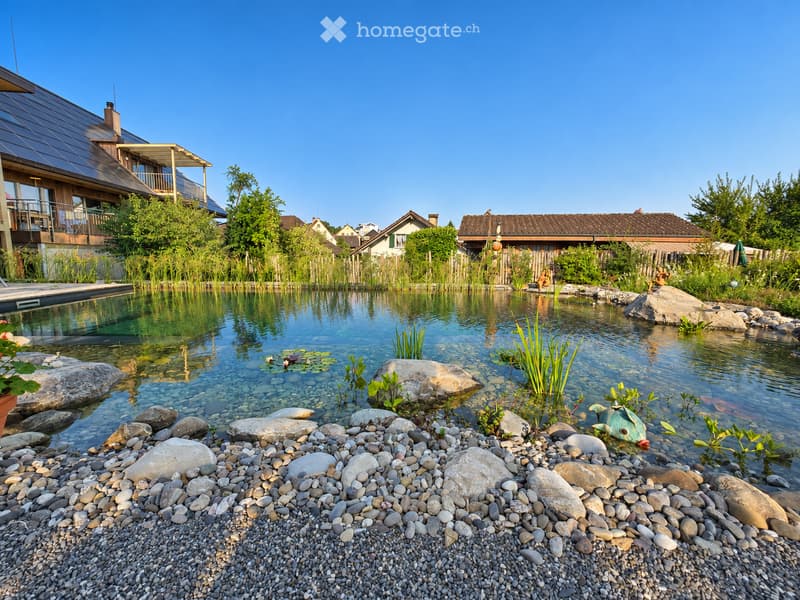 A serene garden area featuring a natural swimming pool surrounded by rocks, aquatic plants, and a wooden decked house in the background.