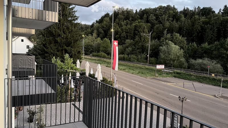 Balcony overlooking a road with a Swiss flag, surrounded by greenery and trees.