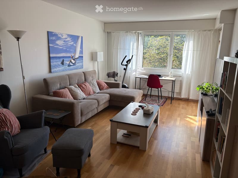 Helle 4.5-Zimmer-Wohnung mit schöner Aussicht in Greifensee (2)