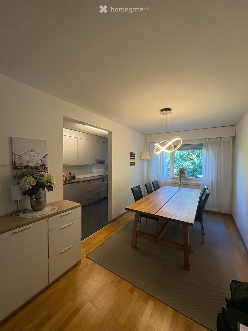 Helle 4.5-Zimmer-Wohnung mit schöner Aussicht in Greifensee (5)