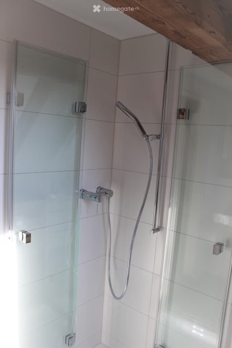 Modern bathroom with a glass shower enclosure, sleek chrome showerhead, and matching fixtures.
