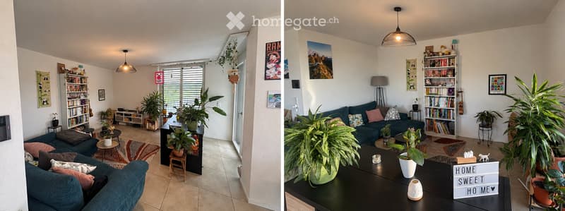 Bright living room with large windows, green plants, a dark blue sofa, coffee table, bookshelf, and decorative items.