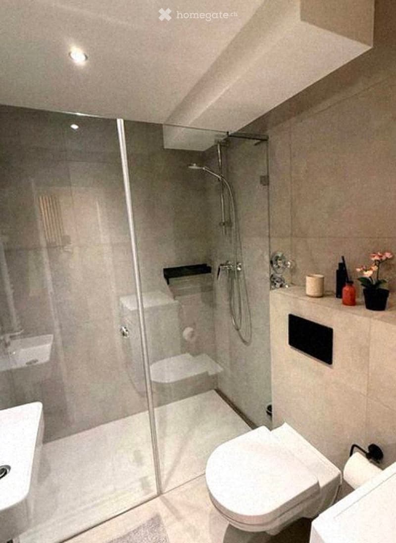 Modern bathroom with a glass-enclosed shower, toilet, sink, and decorative items on the counter.