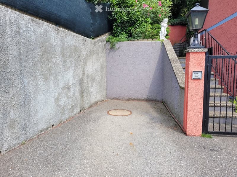 The image shows a small outdoor area with a concrete walkway, a gray concrete wall, and a red brick wall with a metal railing. There is a small statue visible on top of the wall, and some greenery and flowers can be seen in the background.