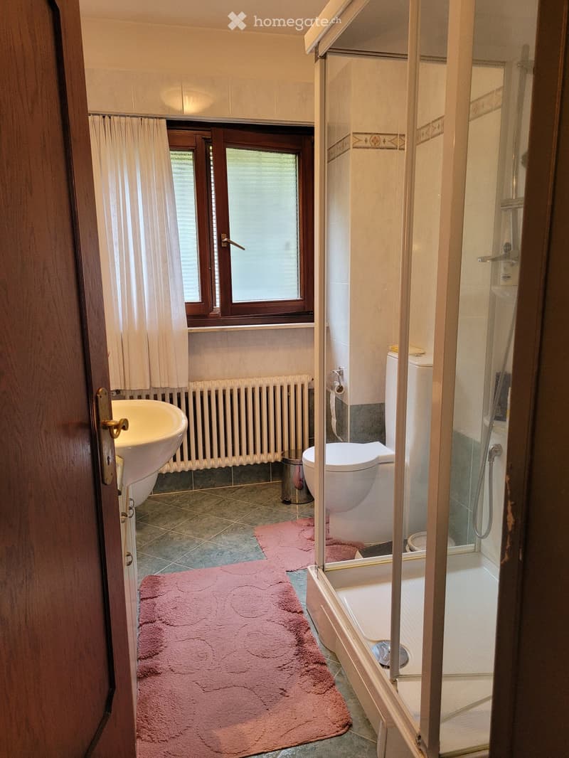 The image shows a bathroom with a toilet, sink, and shower stall. The bathroom has a tiled floor and walls, with a pink rug on the floor. There is a window that provides natural light. The bathroom also has a private washing machine visible.
