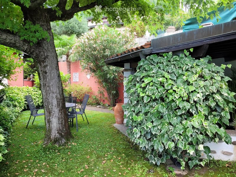 A lush garden with a large tree, ivy-covered wall, patio furniture, and decorative elements like a large vase and a small table.