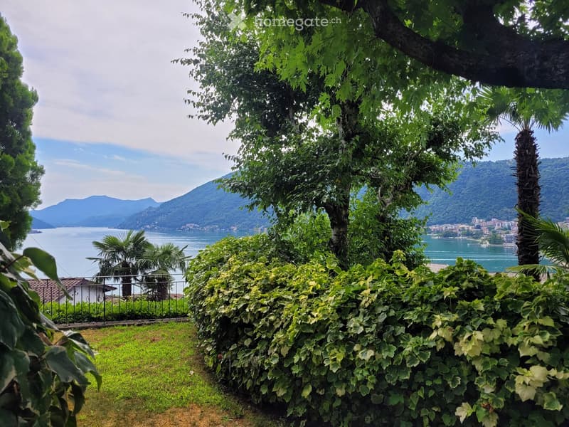 The image shows a lush, green landscape with a large tree in the foreground and a view of a lake or body of water surrounded by mountains in the background. The scene appears to be in a tropical or subtropical region, with palm trees visible. The landscap