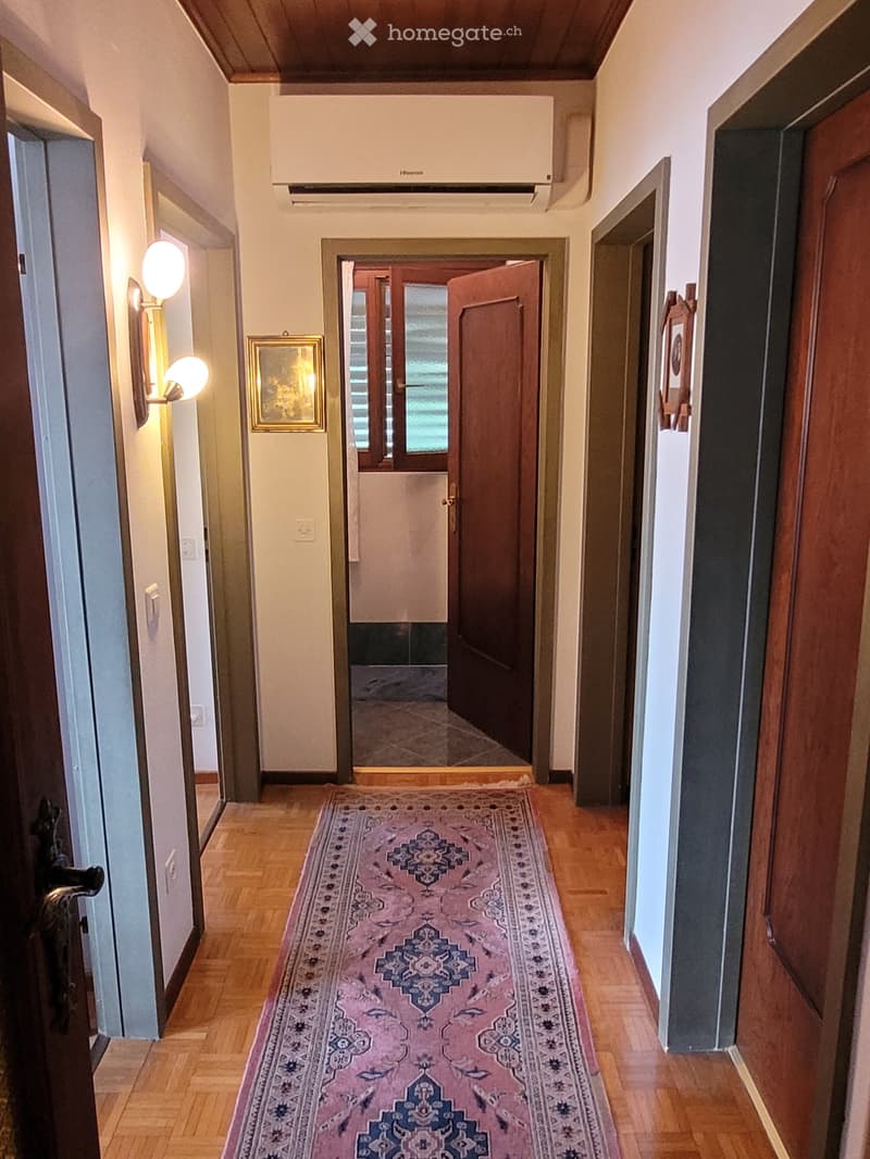 Hallway with wooden floors, white walls, a framed painting, and a Hisense air conditioning unit. There is a patterned rug running down the center of the hallway.