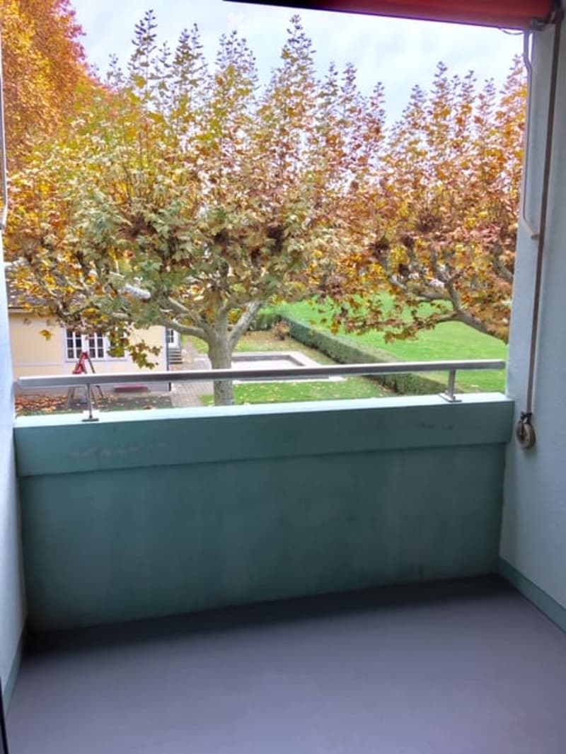 Balcony with metal railing, overlooking a garden with trees and a lawn.