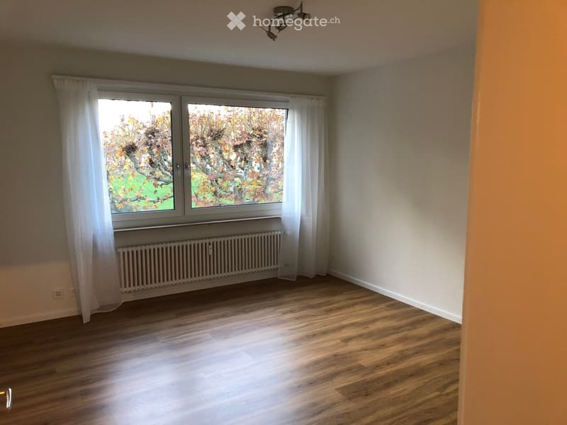 Empty room with wooden flooring, large window with white curtains, radiator below the window, and a ceiling light fixture.