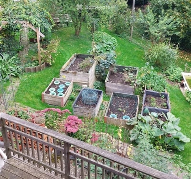 backyard garden, wooden planters, different plants, green grass, wooden bench