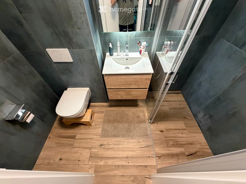 Modern bathroom with dark grey walls, light wooden floor, white toilet, sink with wooden cabinet, and a glass shower enclosure.