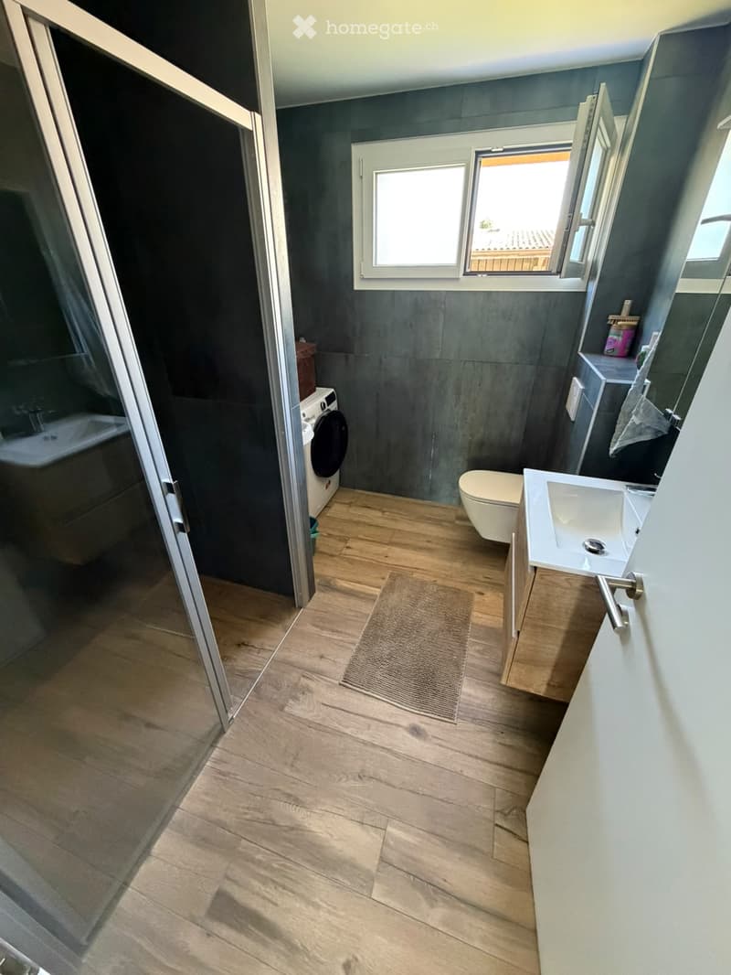 Modern bathroom with wooden flooring, dark grey walls, a toilet, a sink, a washing machine, and a small bathroom rug.