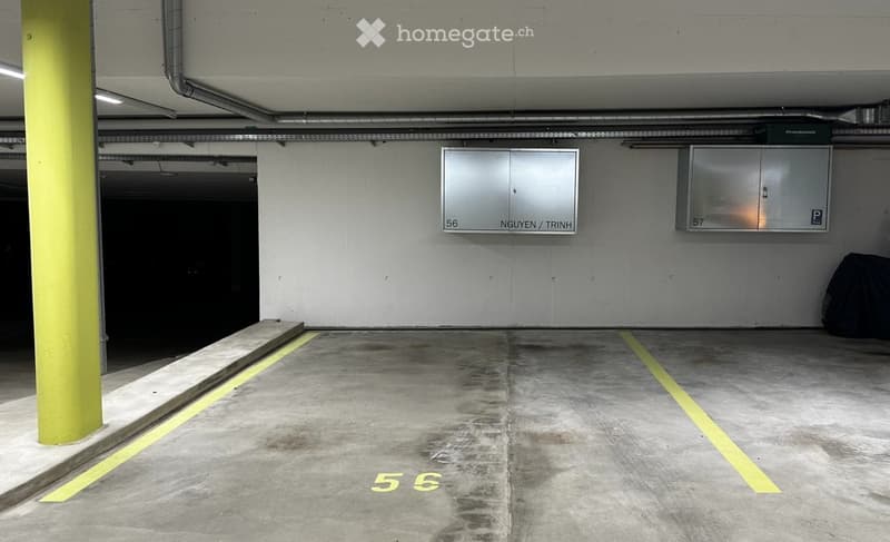 Underground parking area with numbered stalls, concrete floor, yellow markings, and metal cabinets on the wall.