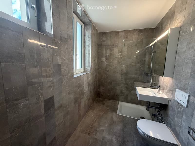 Modern bathroom with dark marble tiles, a toilet, a sink, a bathtub, and a mirrored cabinet.