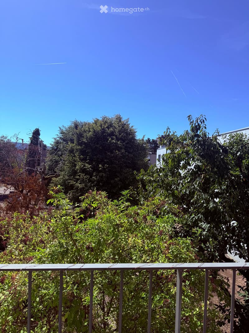 Balcony with metal railing overlooking a lush garden area with various trees and shrubs, under a clear blue sky.
