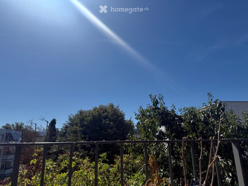 Balcony with metal railing, lush greenery, and clear blue sky in the background.