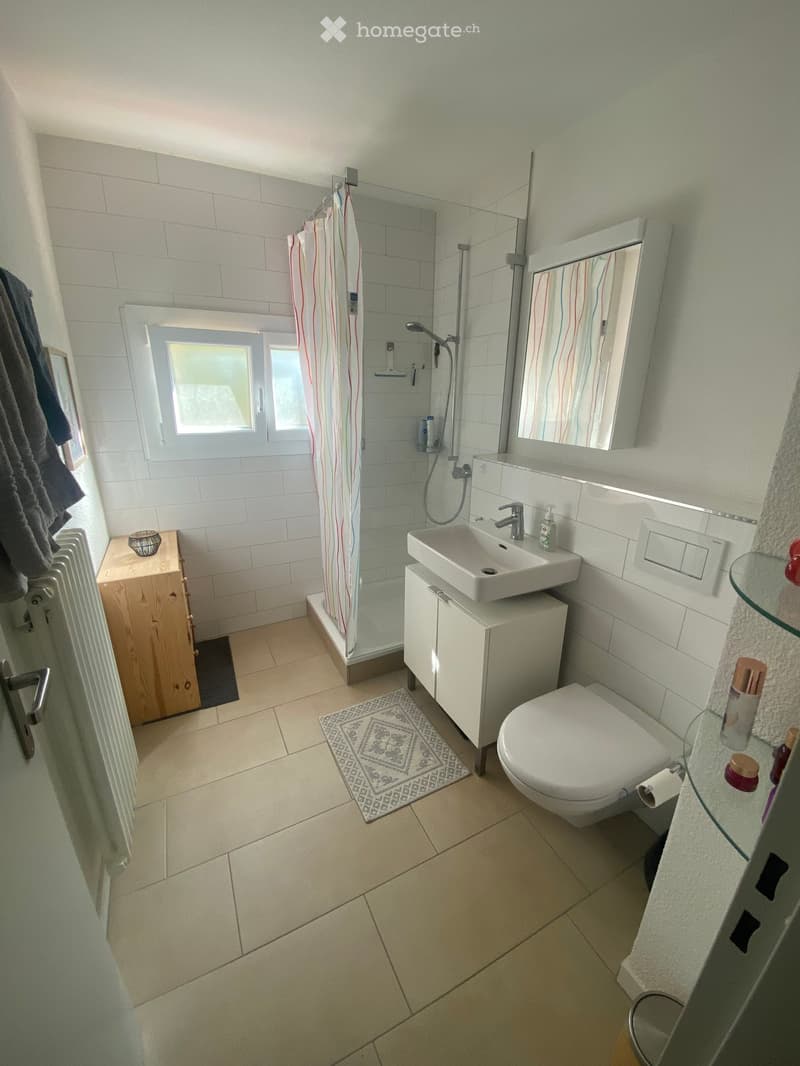 Modern bathroom with white tiles, a glass-enclosed shower, a sink with a cabinet, a toilet, a mirror, a radiator, and a small wooden cabinet with a towel.