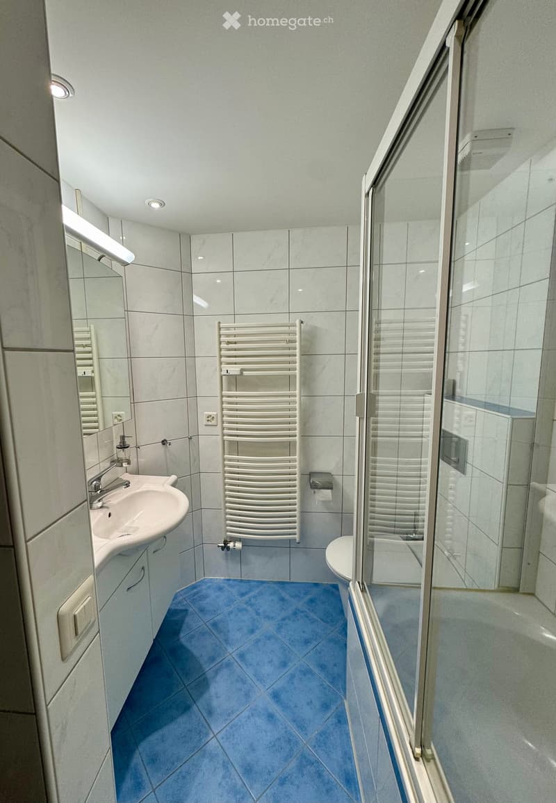 Modern bathroom with blue tiled floor, white radiator, sink with faucet, mirror, and glass-enclosed shower area.