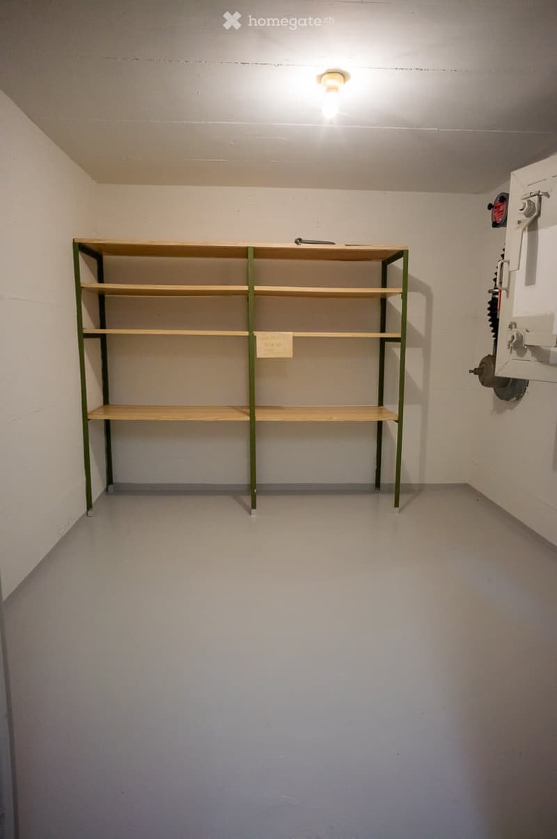 Empty room with white walls, concrete floor, and a single wooden shelving unit with green metal frame. No furniture or equipment present.